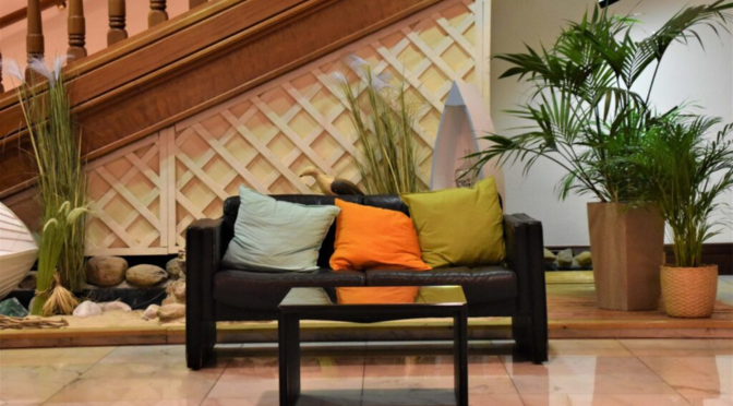 Commercial tilers in Brisbane by Avid Tiling delivering professional floor and wall tiling solutions for offices, retail spaces and commercial properties.